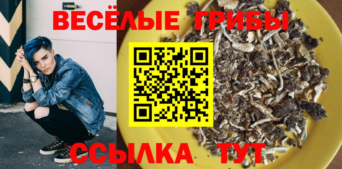 Псилоцибиновые грибы Magic Shrooms  Вход с VPN  где продают наркотики  Миллерово 
